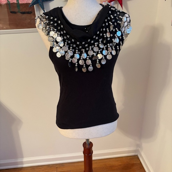 Pair of Belly Dance Skirts  or Scarves - Picture 8 of 9